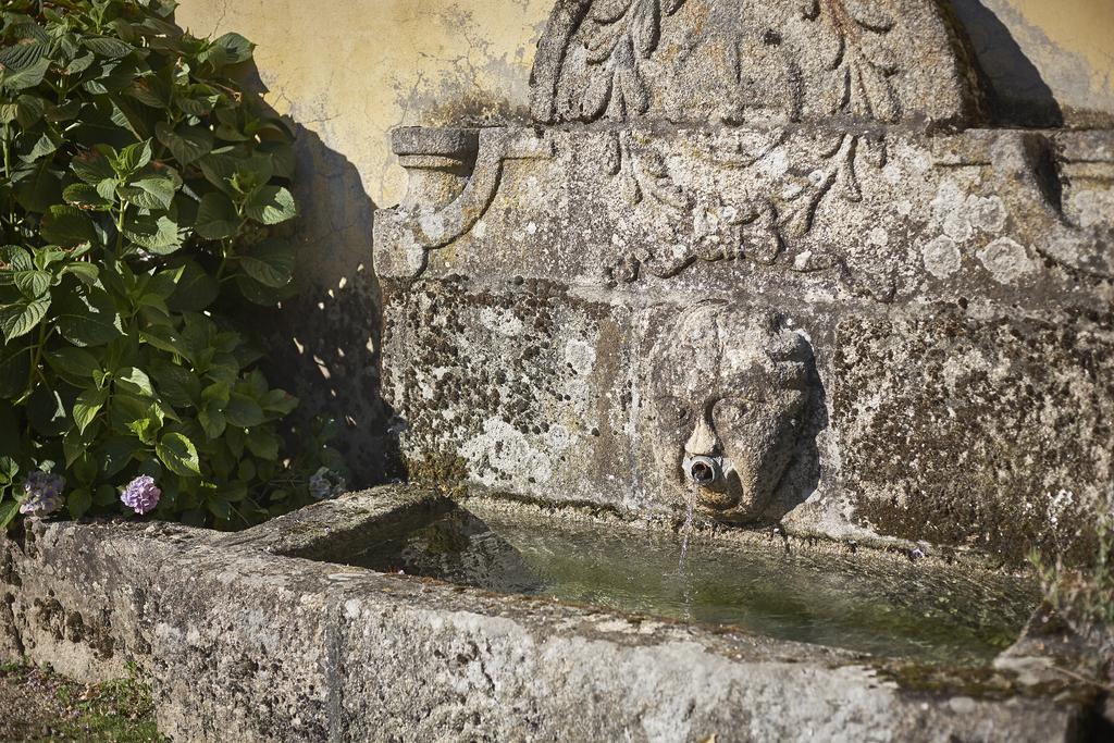 Casa De Canedo セロリコ・デ・バスト エクステリア 写真